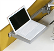 Bild Laptophylla stor 