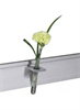 Bild Flower