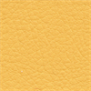 Gul