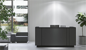 Bild 2 Evo liten reception